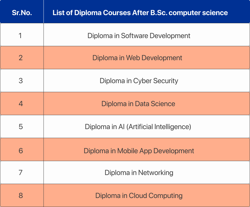 What To Do After B Sc Computer Science